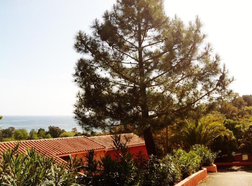 Hotel Residence San Pieru Tarcu Екстер'єр фото