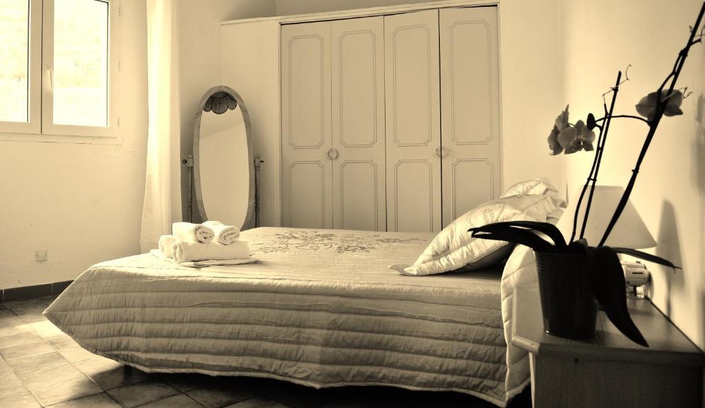 Hotel Residence San Pieru Tarcu Екстер'єр фото